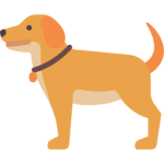 conversation topics about animals